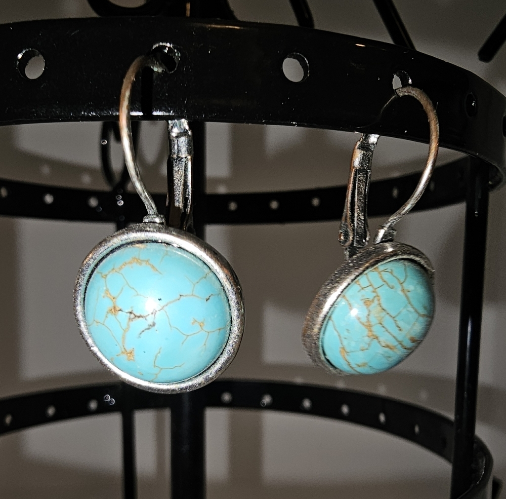 Turquoise Marbled Silver Earrings Self Closure
